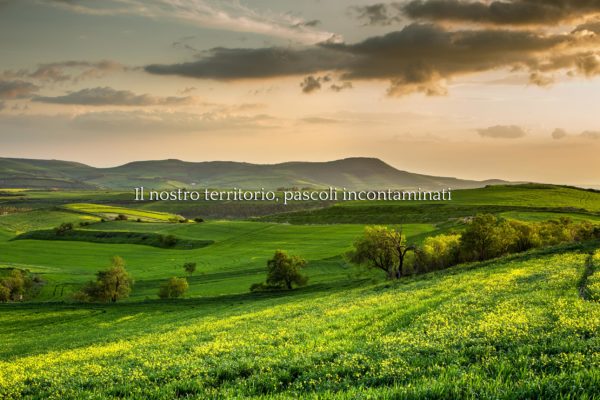 Caseificio Garau dal 1880 - Territorio